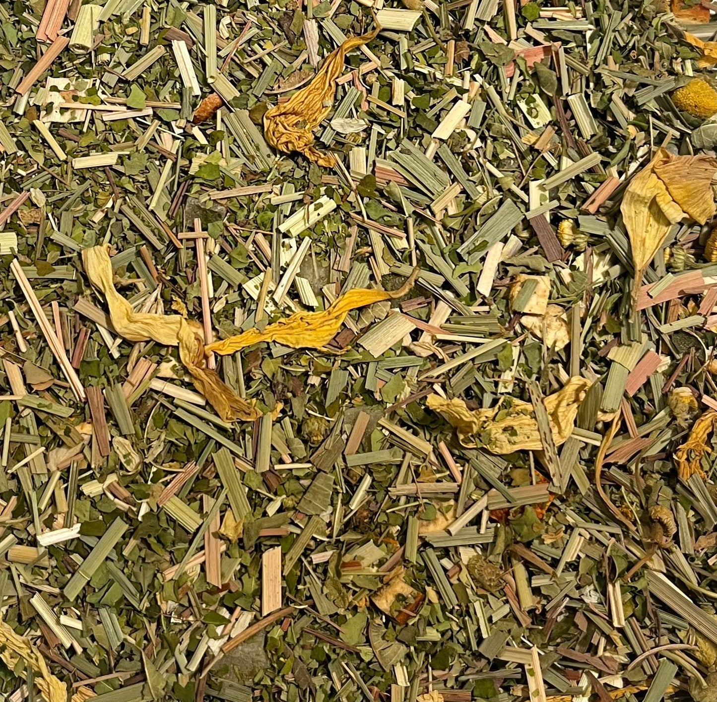 Lemon Verbene mit Moringa Kräutertee NEU! Natürlich