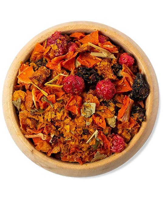 Sanddorn Johannisbeere Früchtetee NEU!