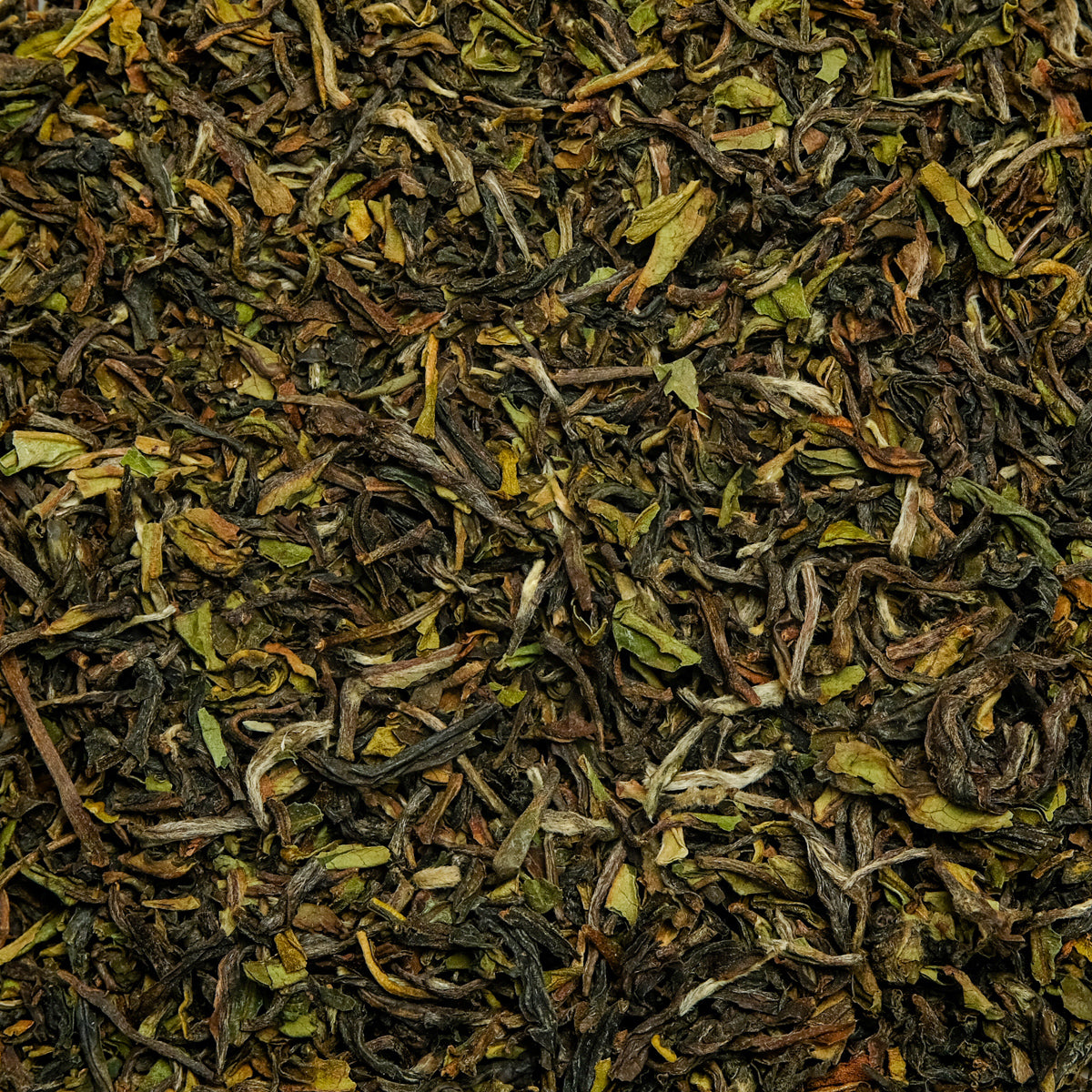 Sikkim Temi First Flush