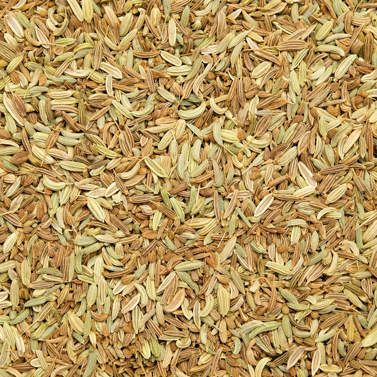 Anis Kümmel Fenchel Stilltee BIO