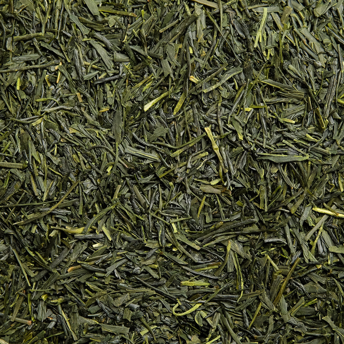 Japan Gyokuro - Edle Tautropfen BIO