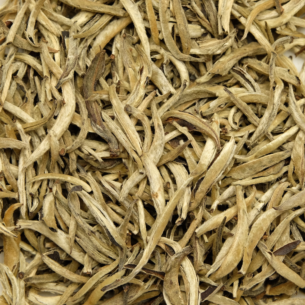 China Pai Mu Tan Silverneedle