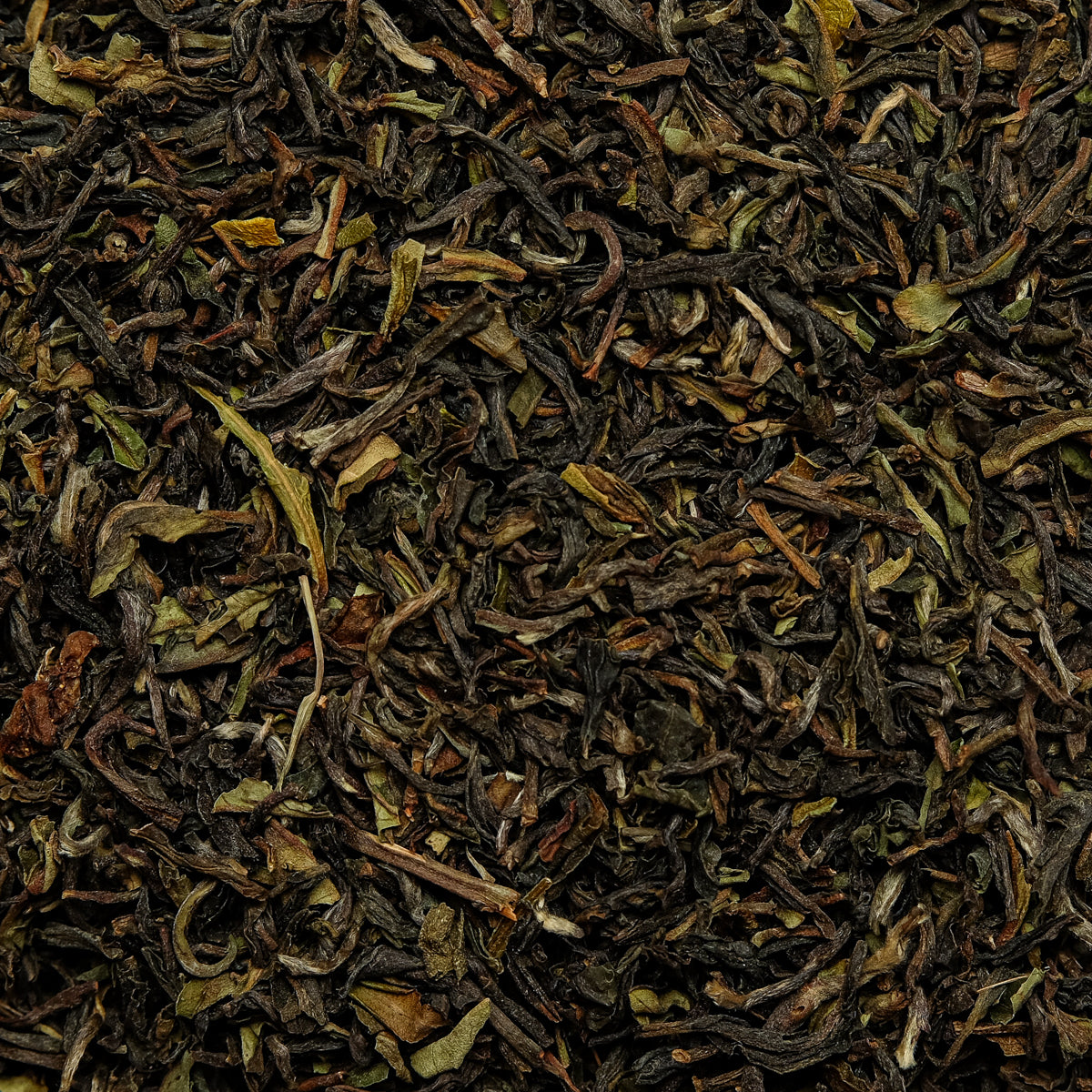 Darjeeling Lingia BIO 1.Pflückung