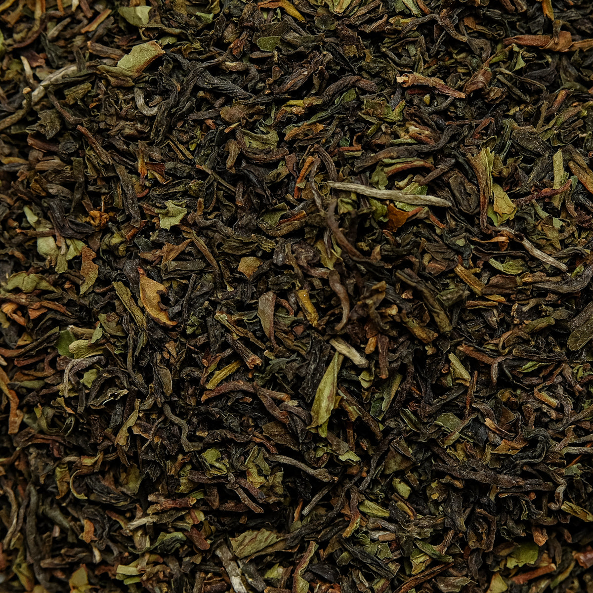 Darjeeling Royal Garden 1.Pflückung