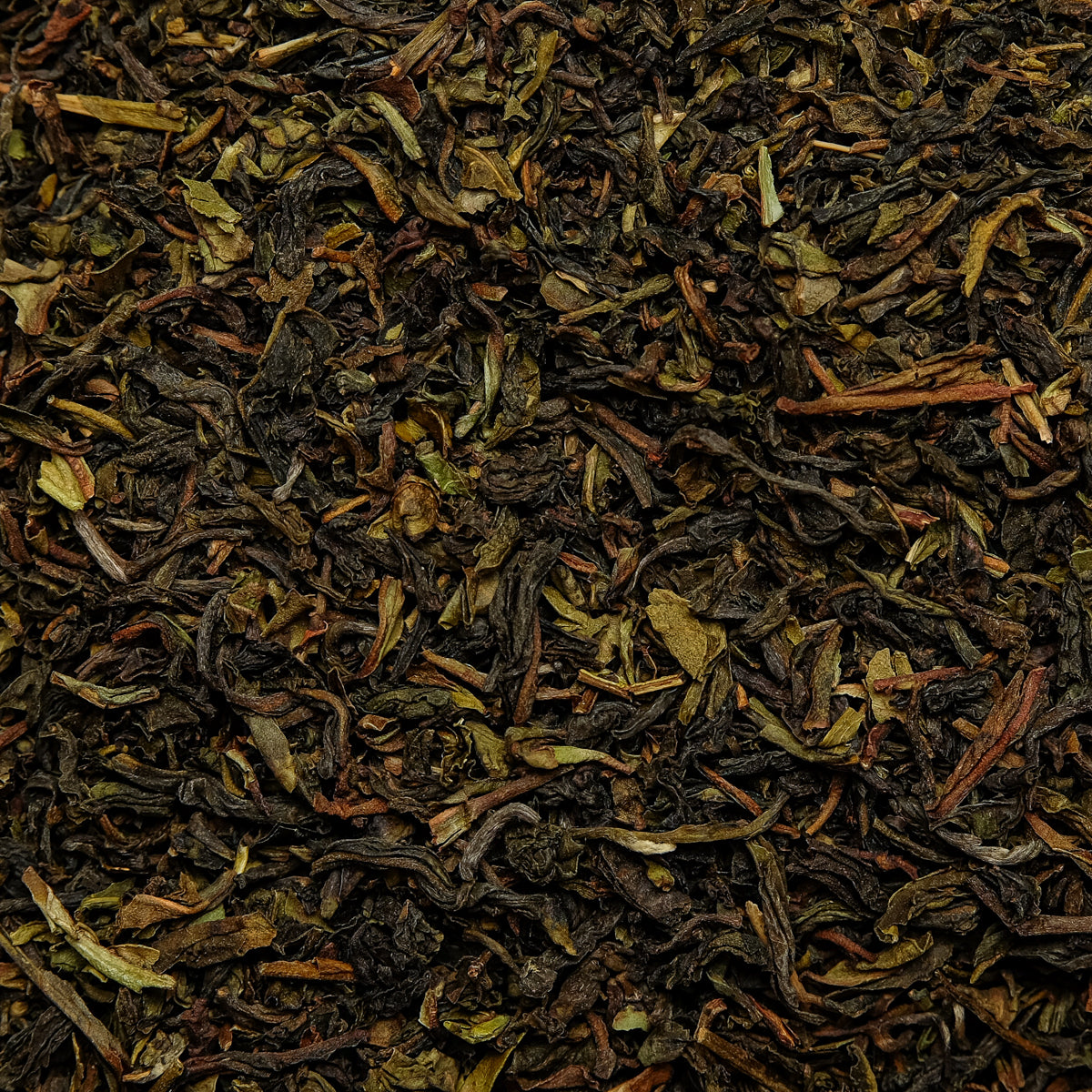 Darjeeling Singell BIO 1.Pflückung