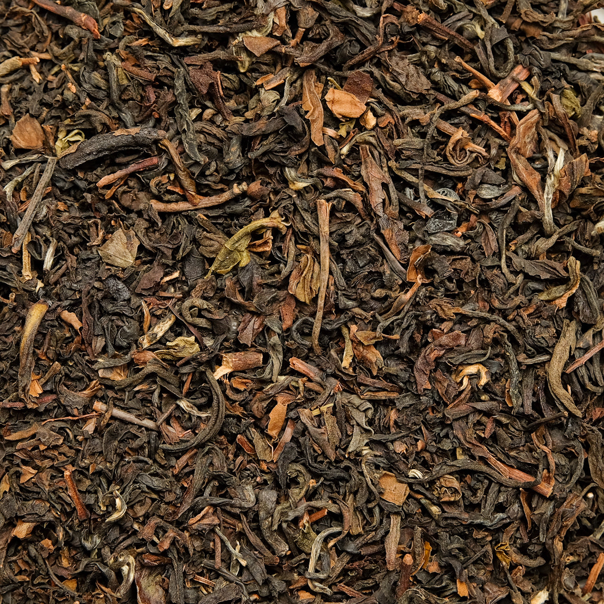Schwarzer Drache Oolong