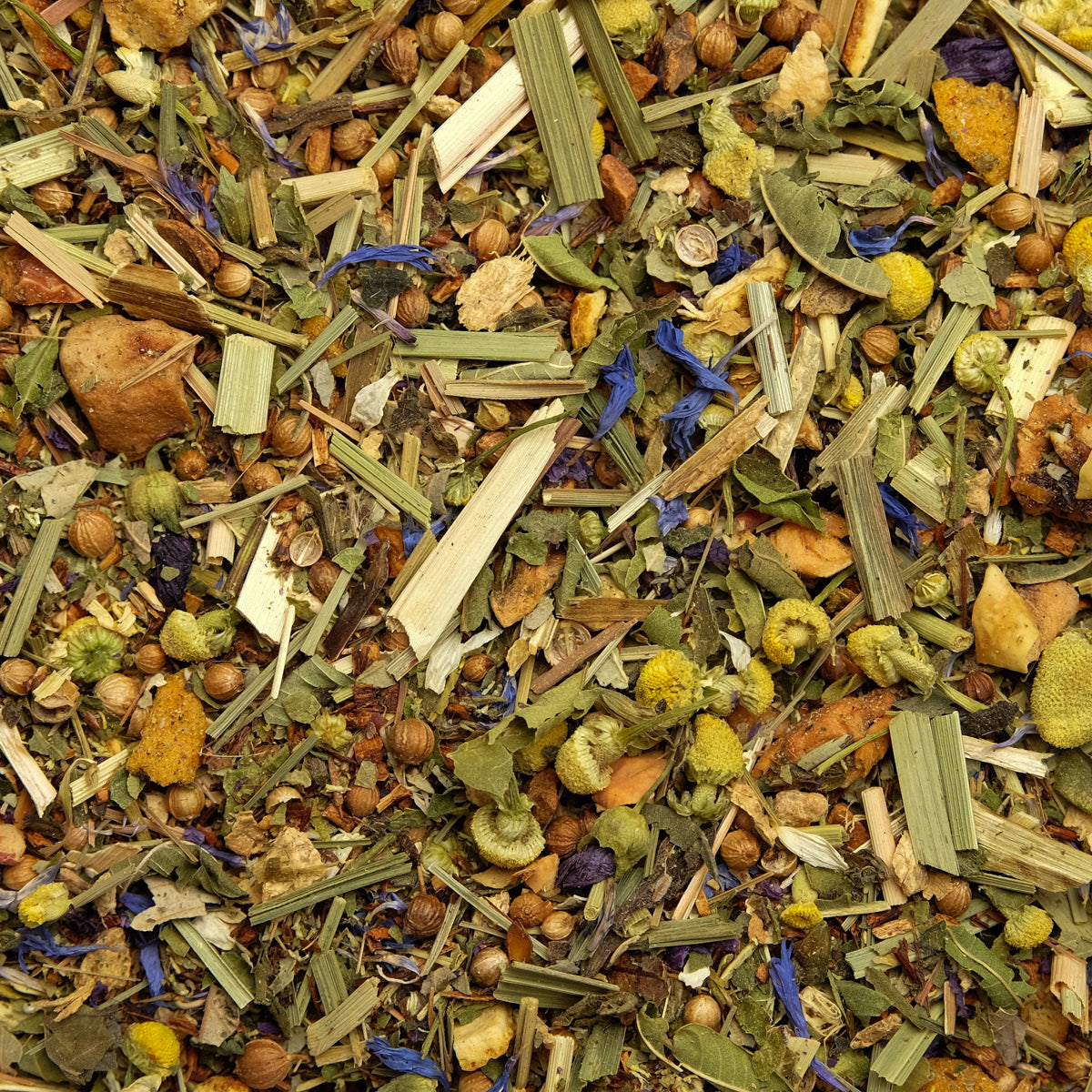 Glücklicher Augenblick natürlich