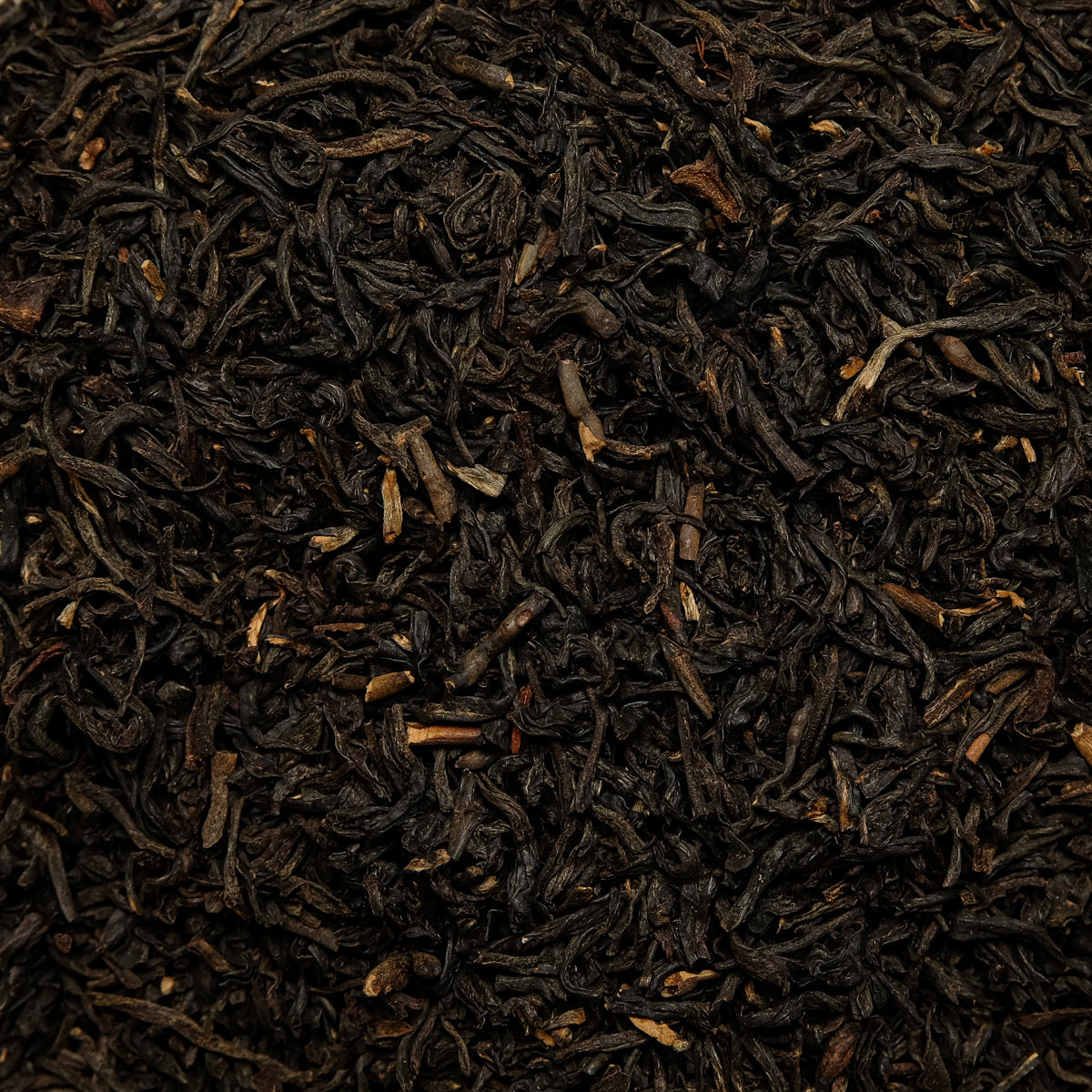 Malty Black Kolumbien BIO