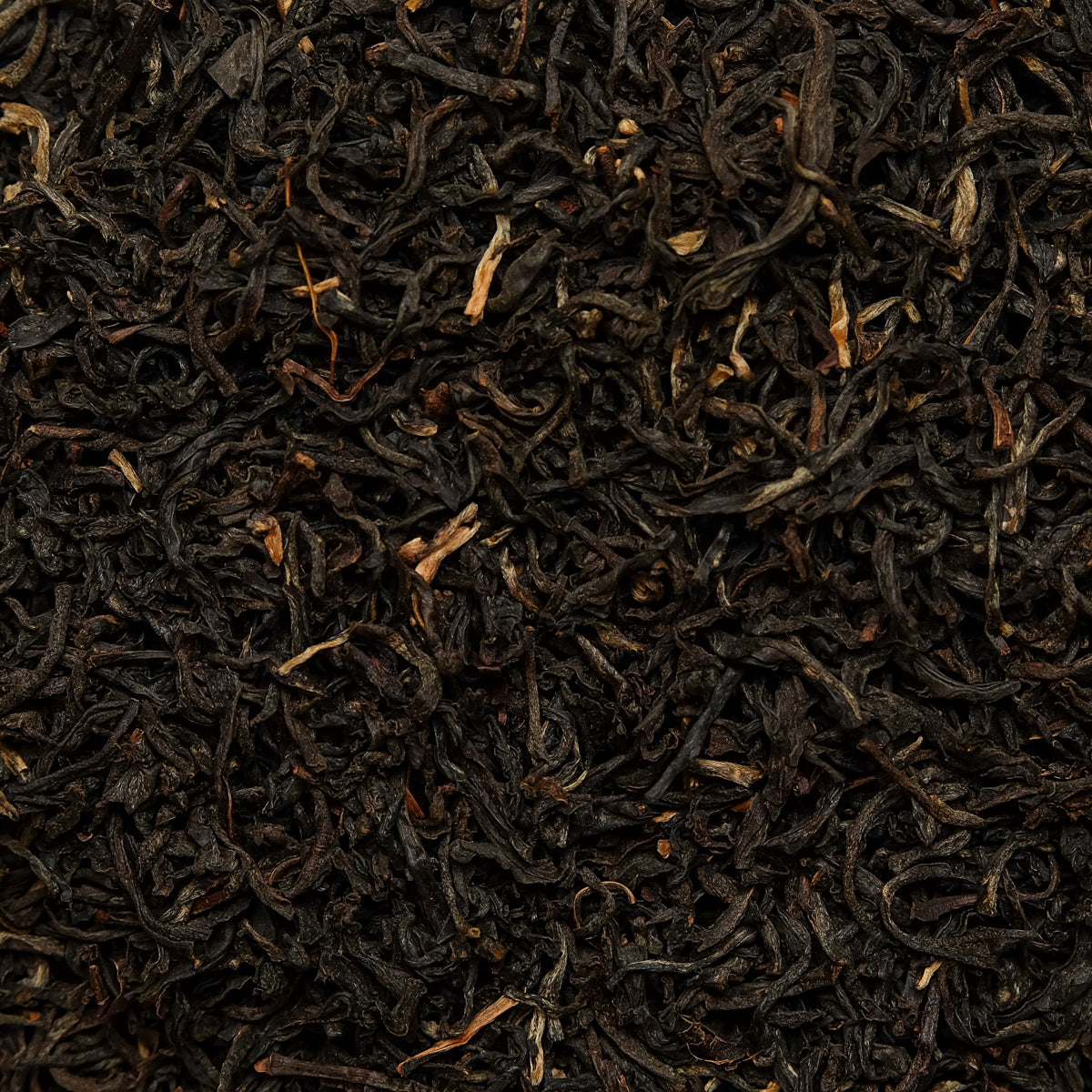 Ostfriesen Blatt NEU BIO