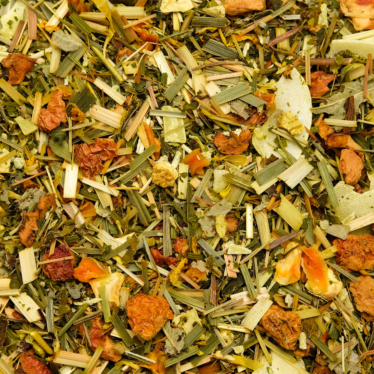 Venezianischer Engel BIO NEU