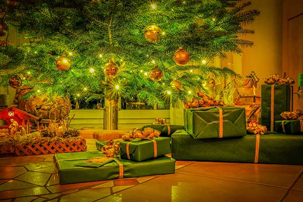 Saisonale Highlights