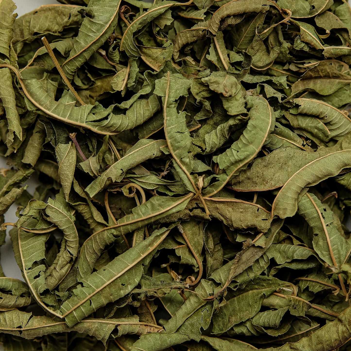 Verbene (Verveine) abgepackt BIO NEU